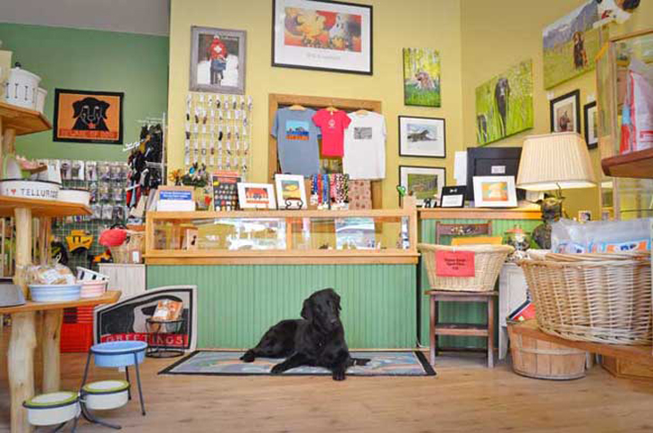 mountain tails interior